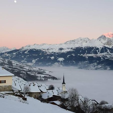 Studio Cosy Vallee De Tarentaise ラ・プラーニュ エクステリア 写真